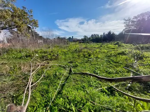 Terreno en Venta en Parque Peña, USD 11.000