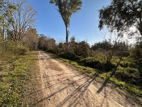 Terreno en Venta 43,30  mts Fondo