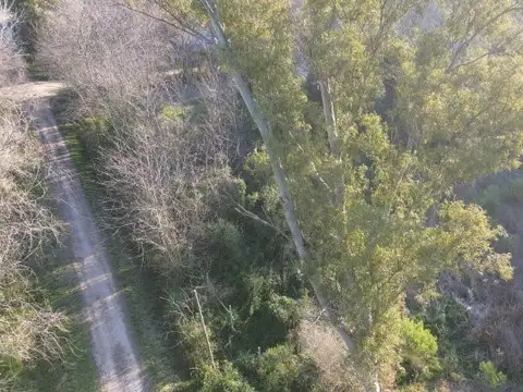 Alvear y Patricias Argentinas