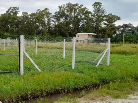 Terreno en venta - 250Mts2 - Abasto