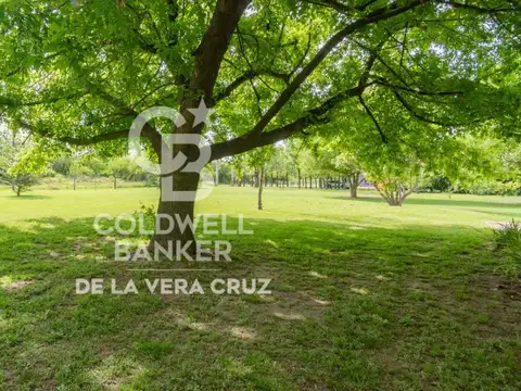 Quinta sobre gran terreno arbolado