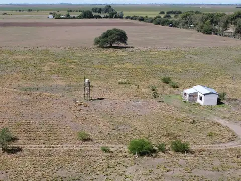 5.500 ha en LIHUE CALEL