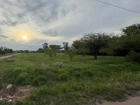 Terreno de 1000 m2 con jardín en capilla de los remedios