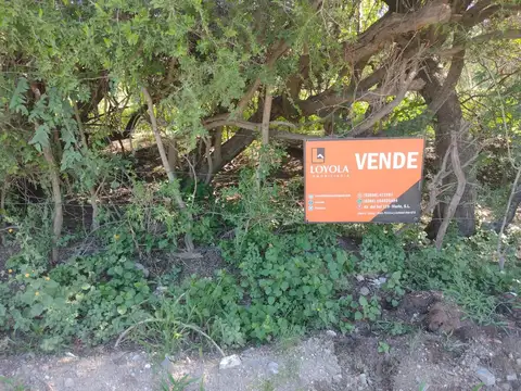 TERRENO Sobre RUTA 14. 