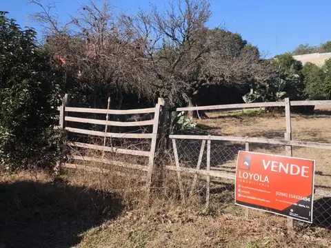 Malvinas Argentinas 100