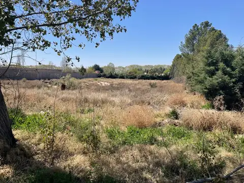Terreno en Venta en Lujan de Cuyo, Luján de Cuyo