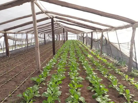 Campo en Venta de 3  ha