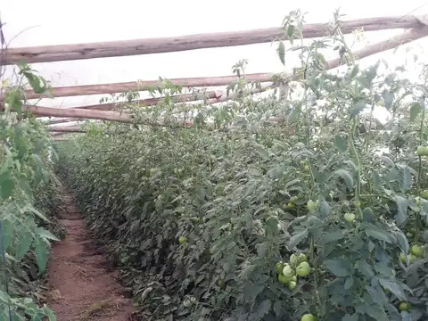 Zona rural de San Pedro