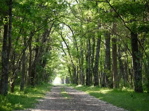 Terreno en Venta de 1000,0 m2