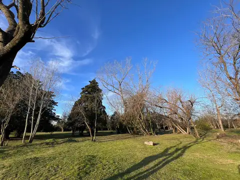 Terreno en Venta en Villa Elisa, USD 55.000