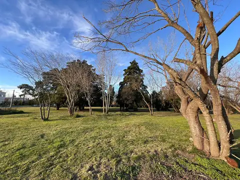 Terreno en Venta 28  mts Fondo