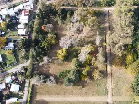 LOTE EN VENTA  en VILLA ELISA Calle 407 y 21 - Barrio Privado Las Alondras