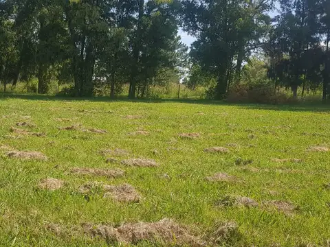 TERRENO CON ESCRITURA