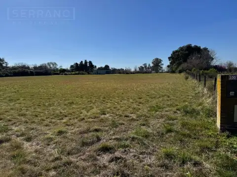 VENTA TERRENO 5000M2. LA RANITA. MANZANARES