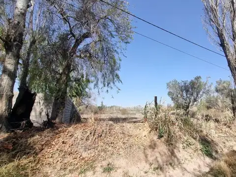 Oportunidad de Inversión en El Borbollón