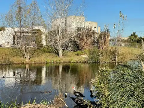 Terreno - Countries/B.Cerrado (Tigre)