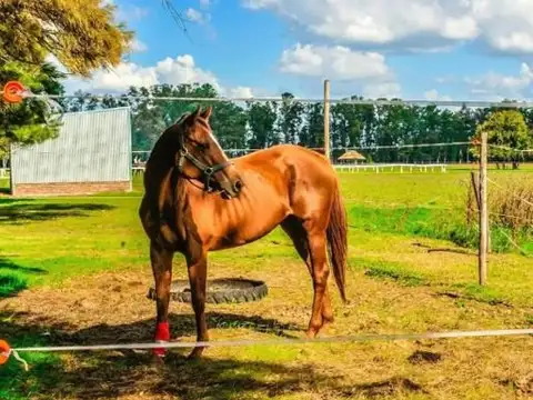 Terreno en Venta de 2,0 m2