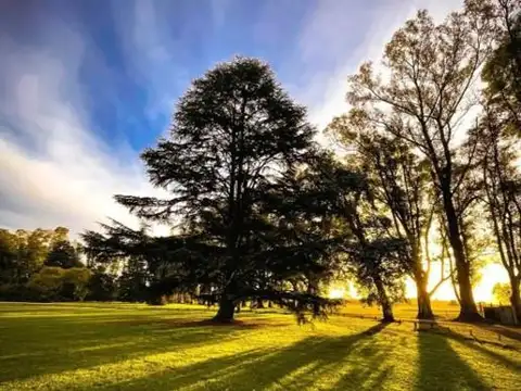 VENTA HERMOSO LOTE EN CHACRAS DE SAN ANDRES