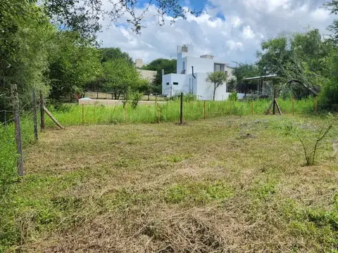 Dra Elvira Rawson 100