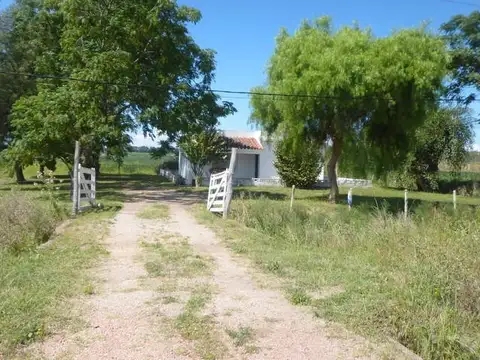 Campo en Venta de 12  ha
