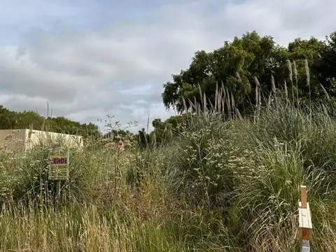 Terreno en venta - 555Mts2 - Costa del Este