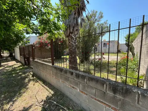 juncalillo y humberto primo 5300