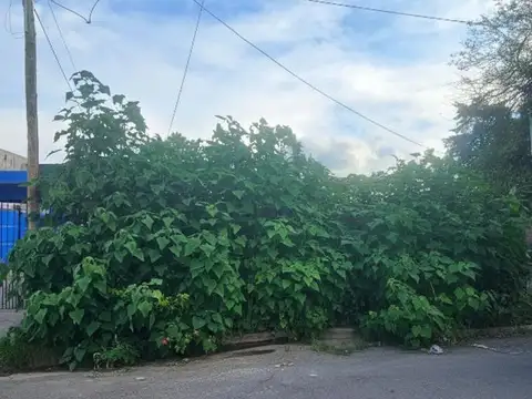 Terreno en Venta en San Salvador de Jujuy, USD 42.000