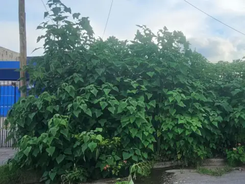 Terreno en Venta de 308,0 m2