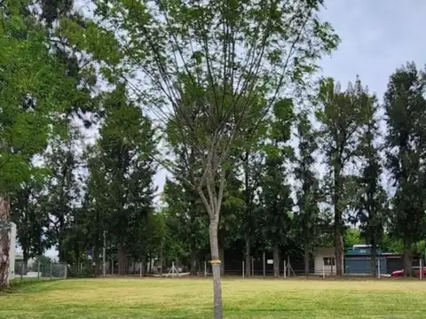 Terreno en Venta de 539,0 m2