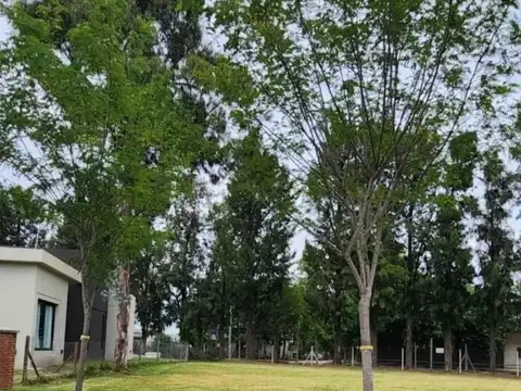 Oportunidad! Lote en Santo Tomas, Pilar