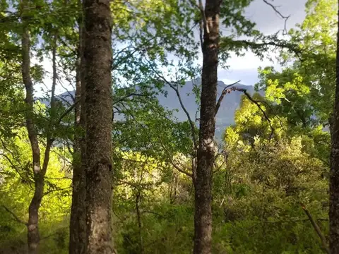 Terreno en Venta en San Martin De Los Andes, USD 108.000