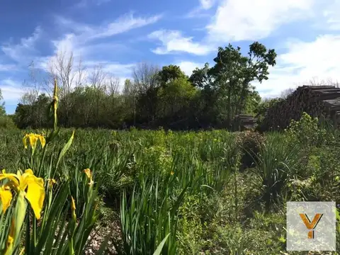 Campo en venta - 81.499Mts2 - Campana