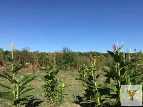 Campo en Venta en Campana, Partido de Campana