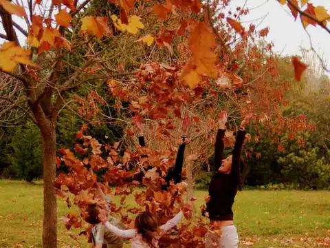 VENTA Terreno en Barrio Pinares de Santa Clara Manzana 19 Lote 5