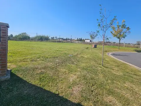 Terreno en Venta de 520,0 m2