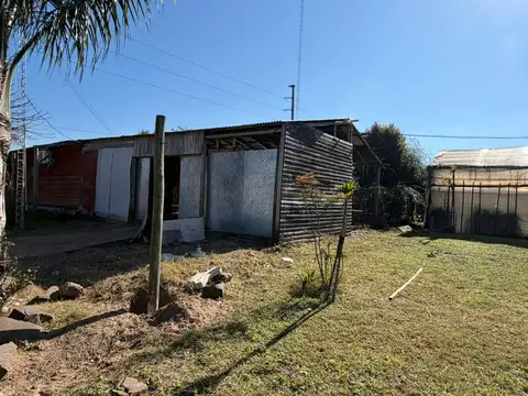 Hermana Clara 800