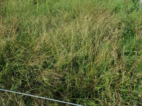 Campo en Ubajay