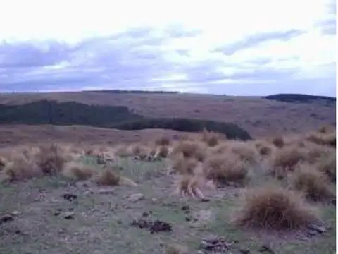 Campo en Venta