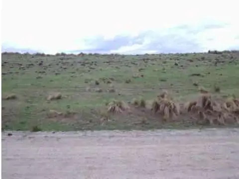 Campo en Venta en Yacanto Calamuchita, Calamuchita