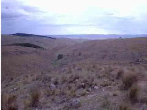 Campo en Venta
