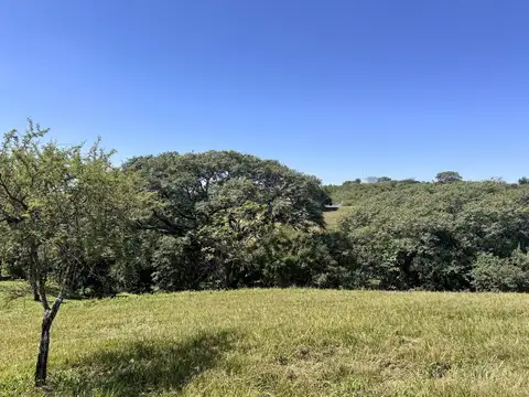 Terreno en Venta en San Lorenzo Chico, USD 95.000