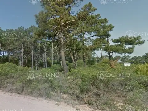 Terreno en Venta 54  mts Frente