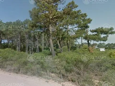 Terreno en Venta en Punta Ballena, USD 59.000