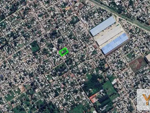 Armando J. Lavagnino y Cabildo