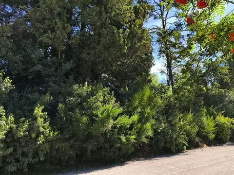 Terreno en Venta de 858,0 m2