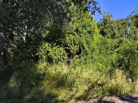 Lote plano en esquina – Barrio Tres Cerros (Cód. 210)