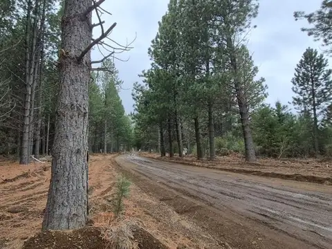 LOTE VENTA EN DOS VALLES FINANCIADO