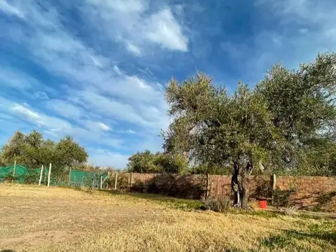 Terreno en Venta en Cruz De Piedra, USD 30.000