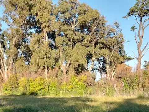 VENTA LOTE EN AV. DEL GOLF MIRAMAR