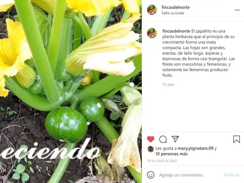 Campo en Venta Agricola